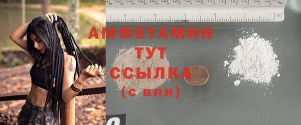 хмурый Нея
