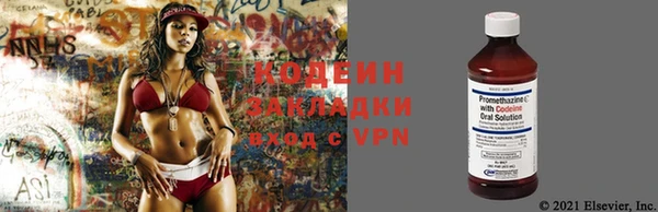 хмурый Нея