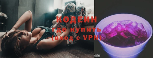 хмурый Нея