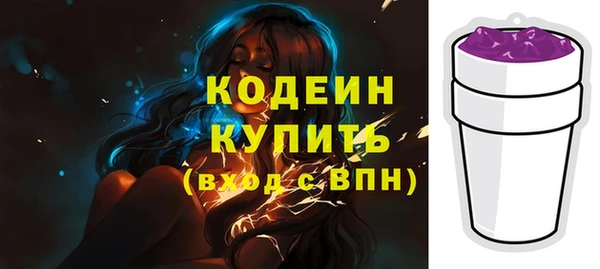 хмурый Нея