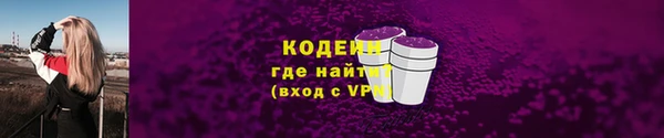 хмурый Нея