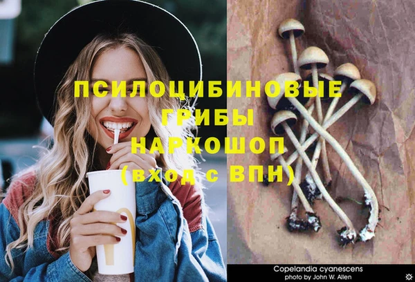 хмурый Нея