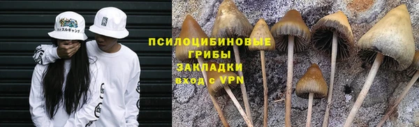эйфоретик Нефтегорск