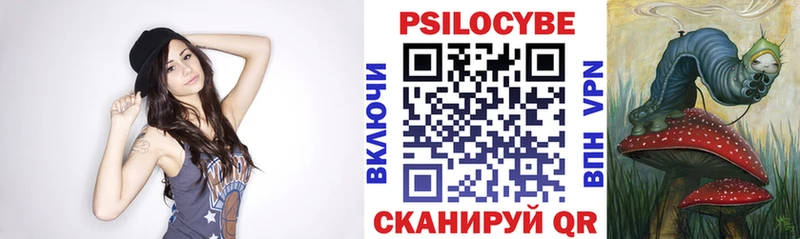купить наркотик  Шлиссельбург  Псилоцибиновые грибы мухоморы 